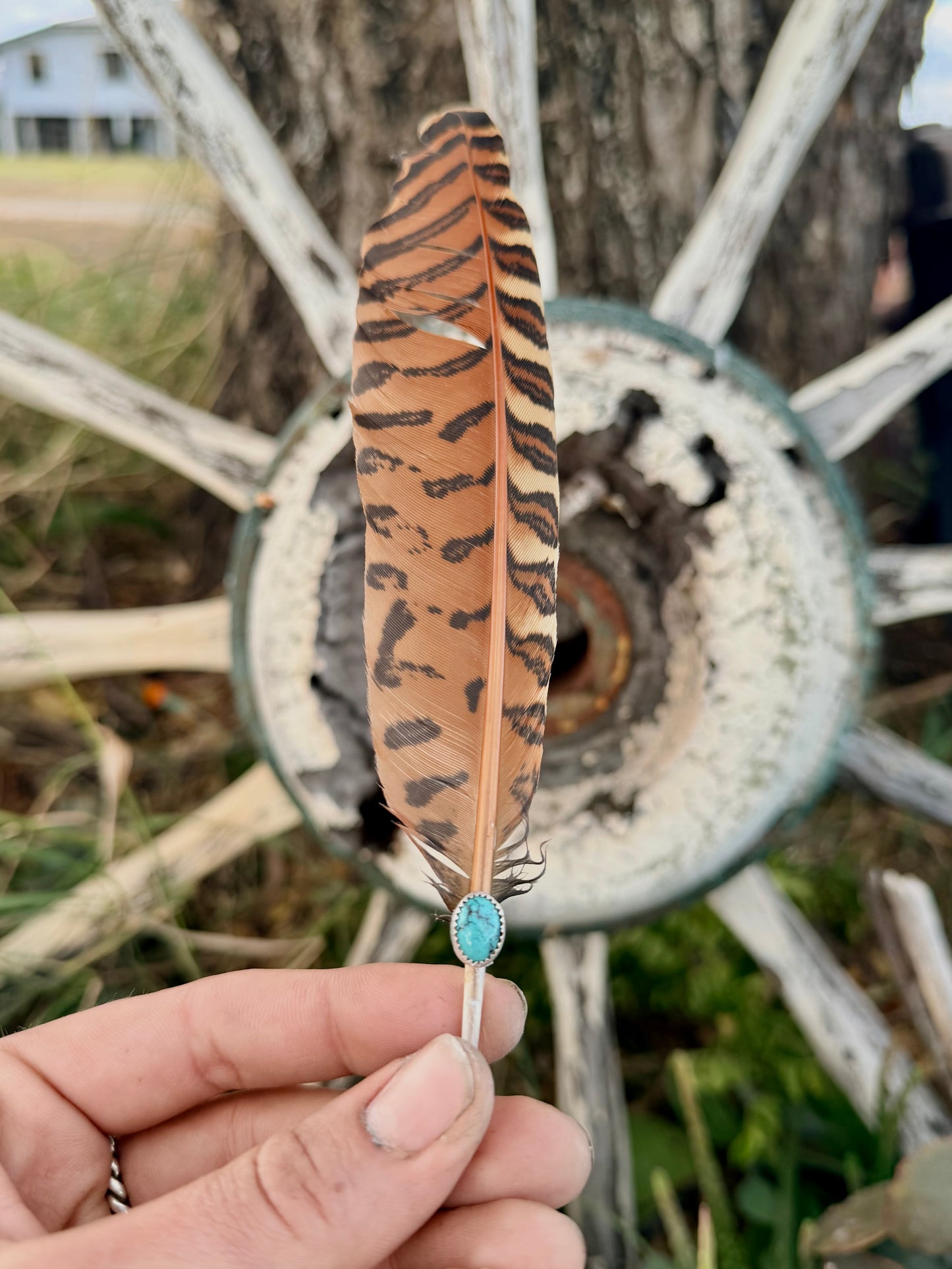 Turquoise Hat Feather
