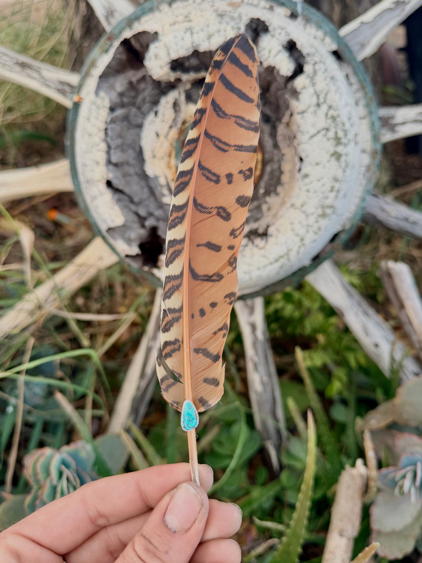 Turquoise Hat Feather