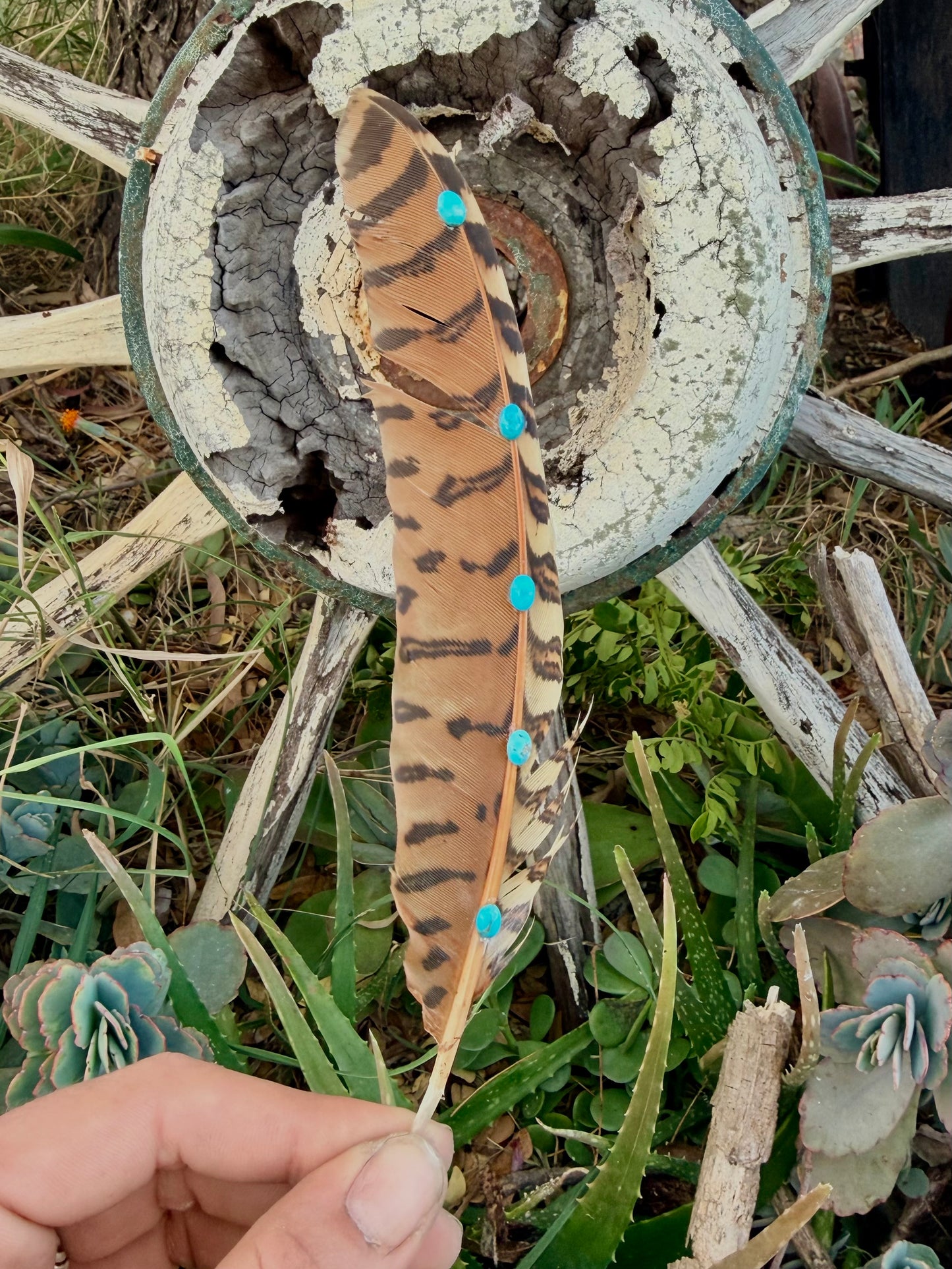 Turquoise Hat Feather