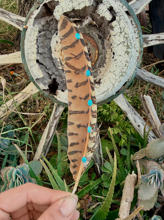 Turquoise Hat Feather