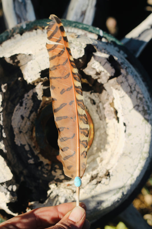 Turquoise Hat Feather