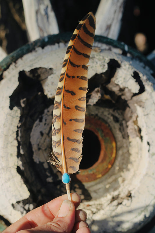 Turquoise Hat Feather