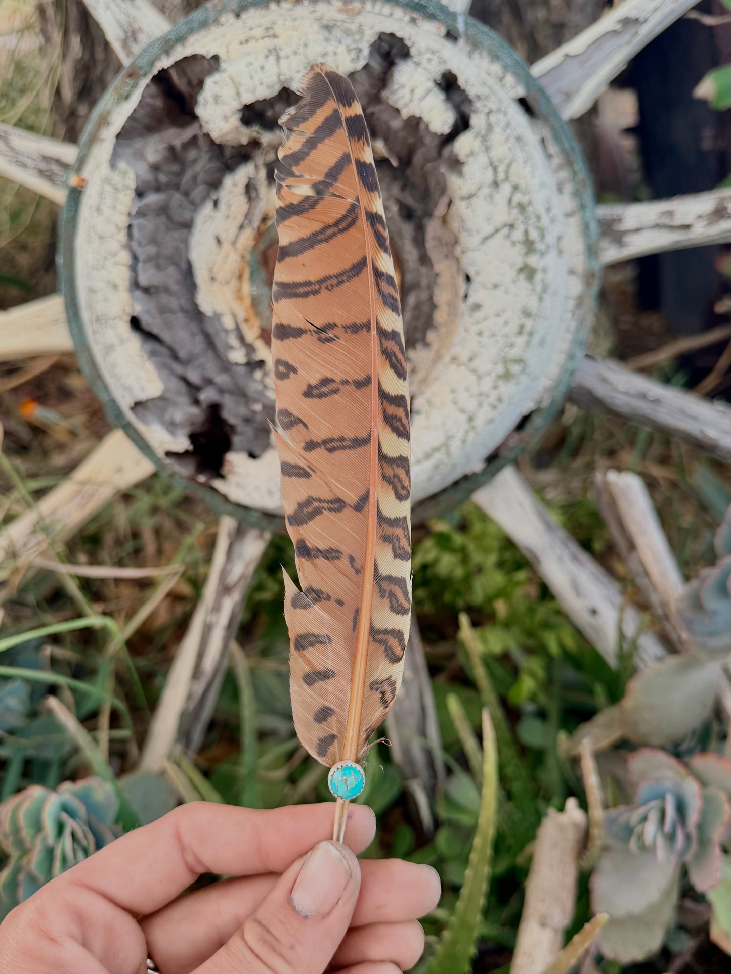 Turquoise Hat Feather