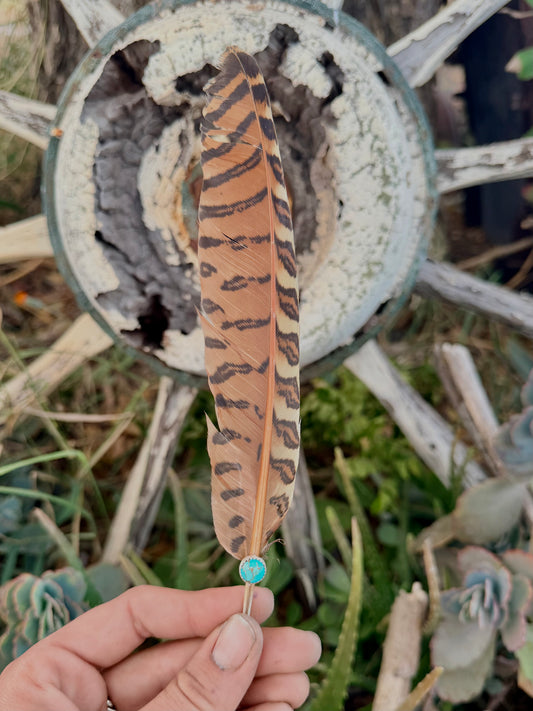 Turquoise Hat Feather