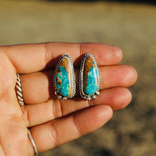Fox Turquoise Studs