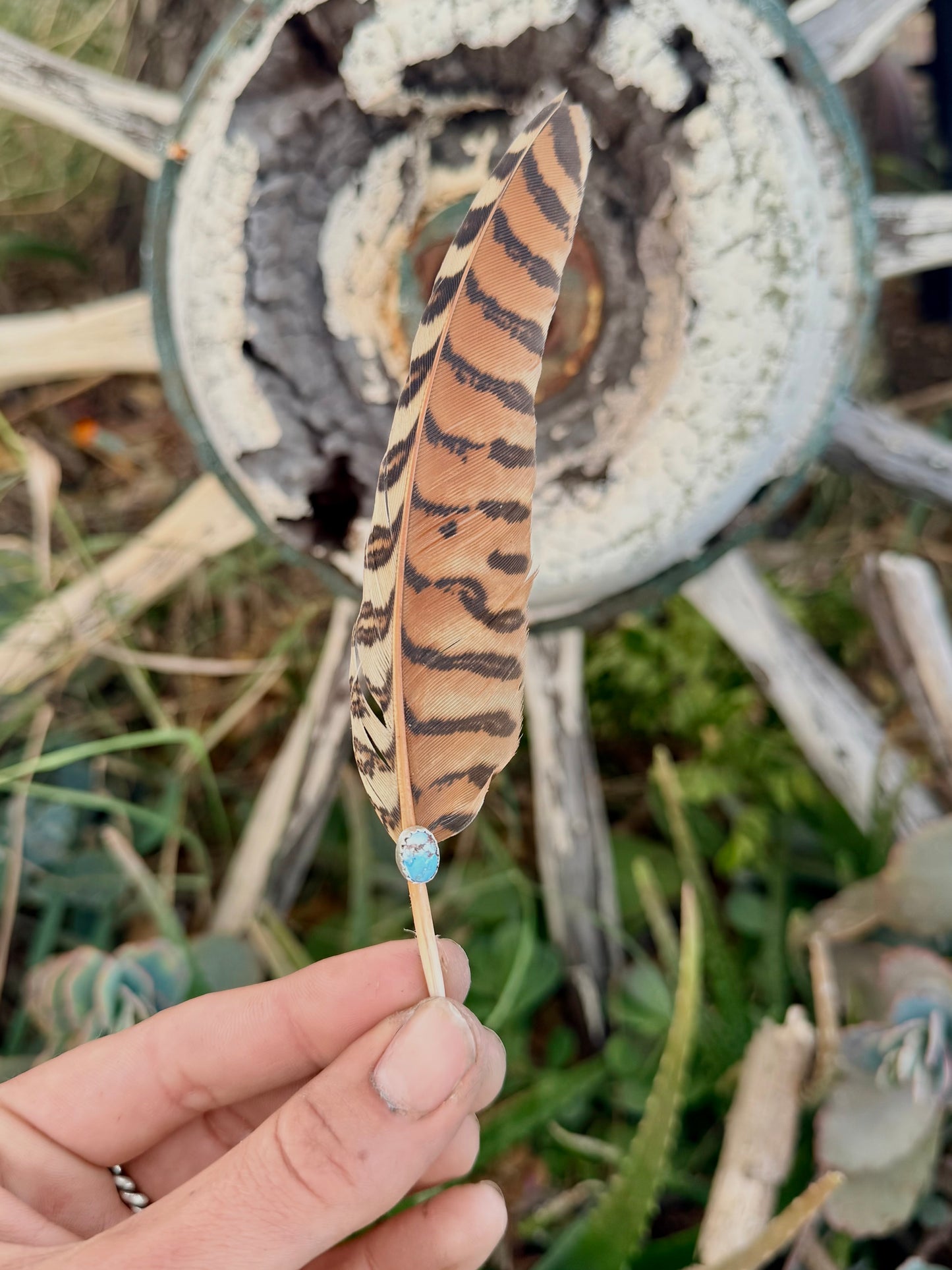 Turquoise Hat Feather