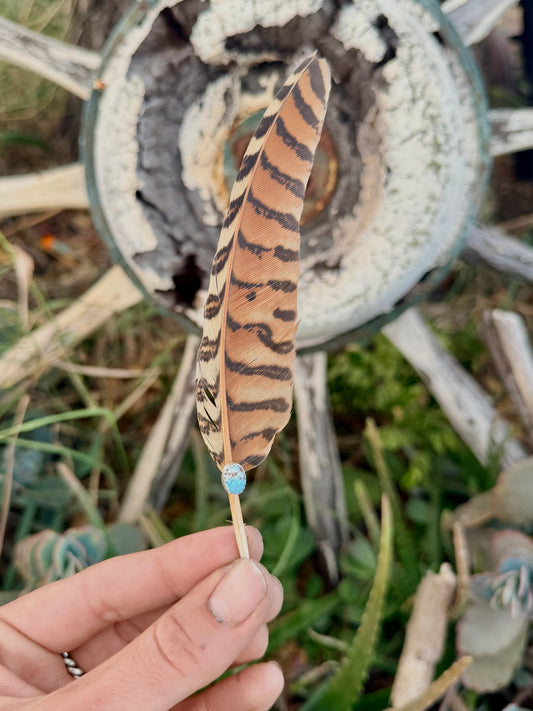 Turquoise Hat Feather