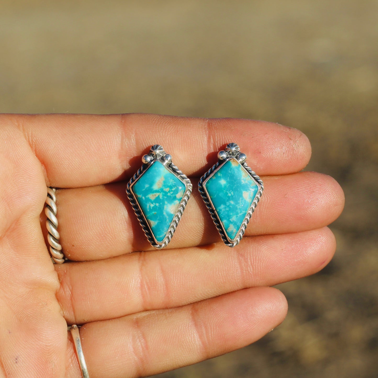 Fox Turquoise Studs