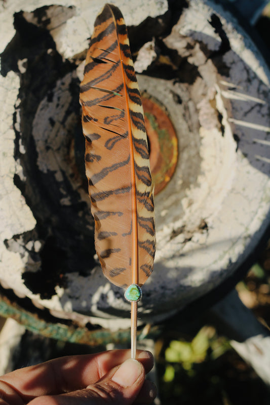 Turquoise Hat Feather