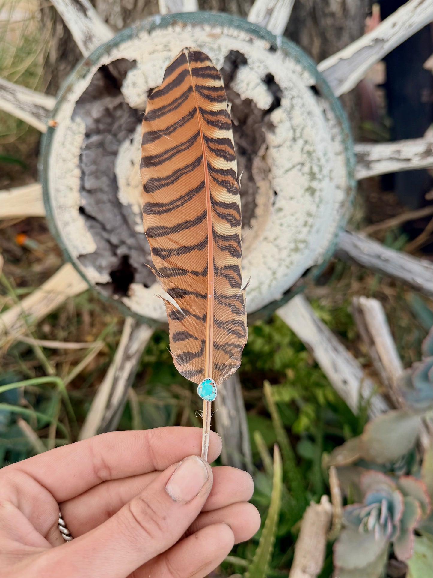 Turquoise Hat Feather