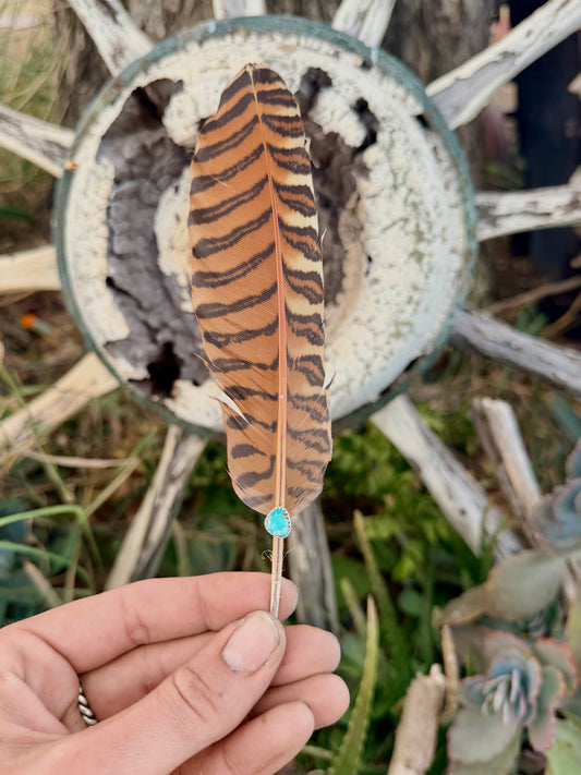Turquoise Hat Feather