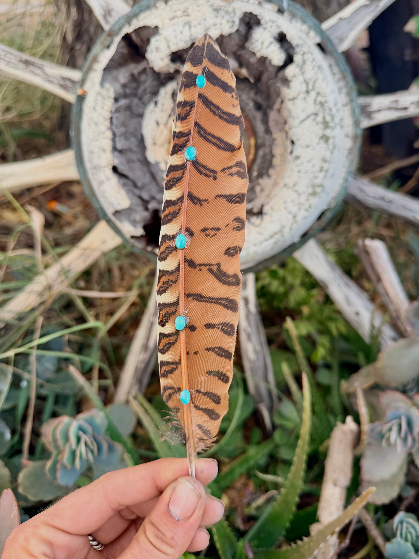 Turquoise Hat Feather